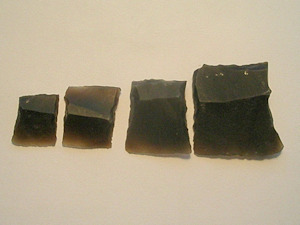 Click to enlarge aselection of FLINTS